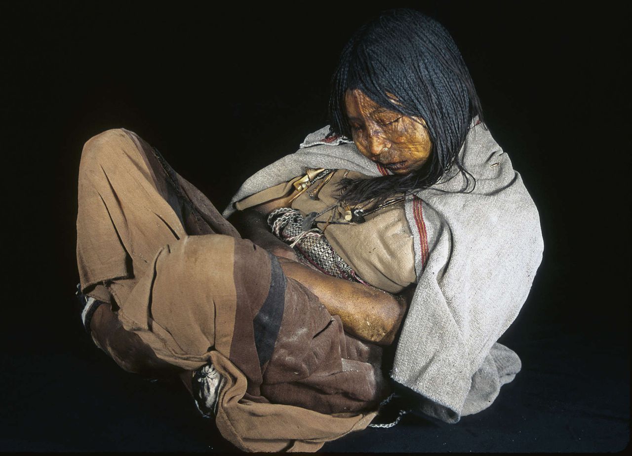 Het dertienjarige Meisje van Llullaillaco is een van de best bewaarde mummies ter wereld. In haar mond zit een prop coca.