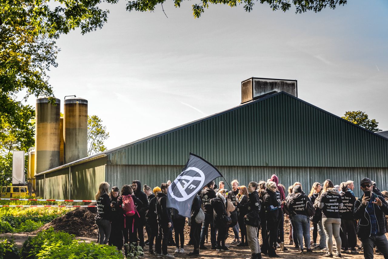 Ruim honderd activisten bezetten varkensboerderij Boxtel 