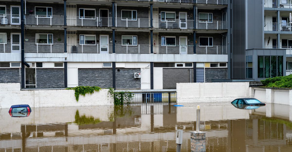 Netherlands can learn a lot from African countries about extreme weather, say WWF and Red Cross