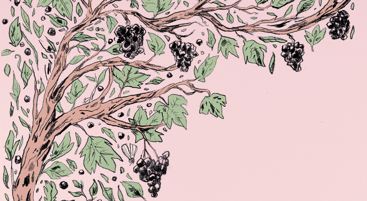 Van Klassiekers Tot Doordrinkers Dit Zijn De Beste En Bijzonderste Wijnen Van 2020 Nrc