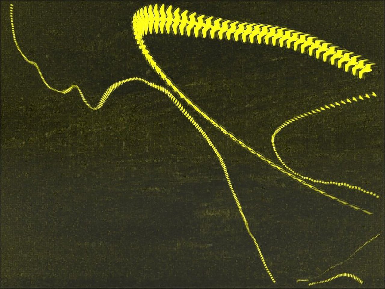 ximena saenz nudes leak utilized the service multiple