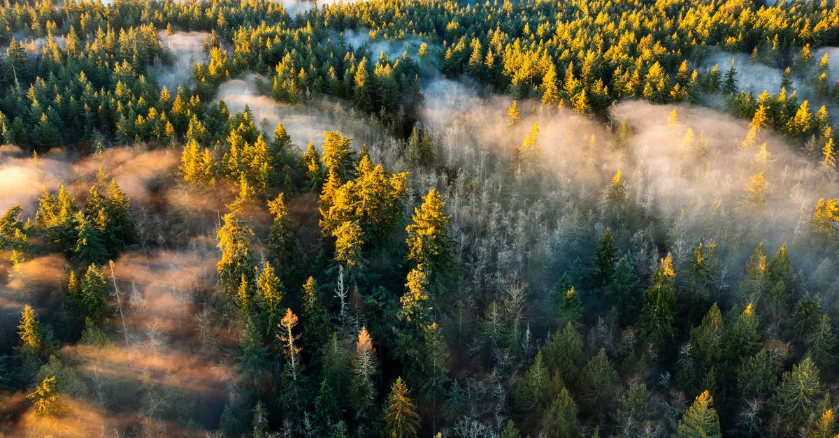 Han van Wieringen schrijft scherpzinnig en zelfbewust over de worsteling met identiteit