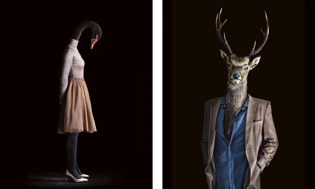Deze beelden komen uit de serie Segundas Pieles (Tweede Huid) van de Spaanse fotograaf Miguel Vallinas. Hij heeft zich proberen voor te stellen hoe dieren hun persoonlijkheid zouden uiten als ze kleding zouden kunnen dragen.