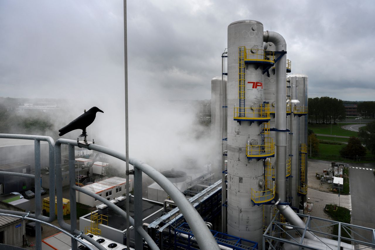 De installatie van afvalbedrijf AVR in Duiven ‘wast’ een deel van de CO2 uit verbrandingsrook. Tuinders in de regio gebruiken dat om hun gewassen te laten groeien.