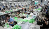 Lower import duties than the EU – finally an advantage of the Brexit for the UK?