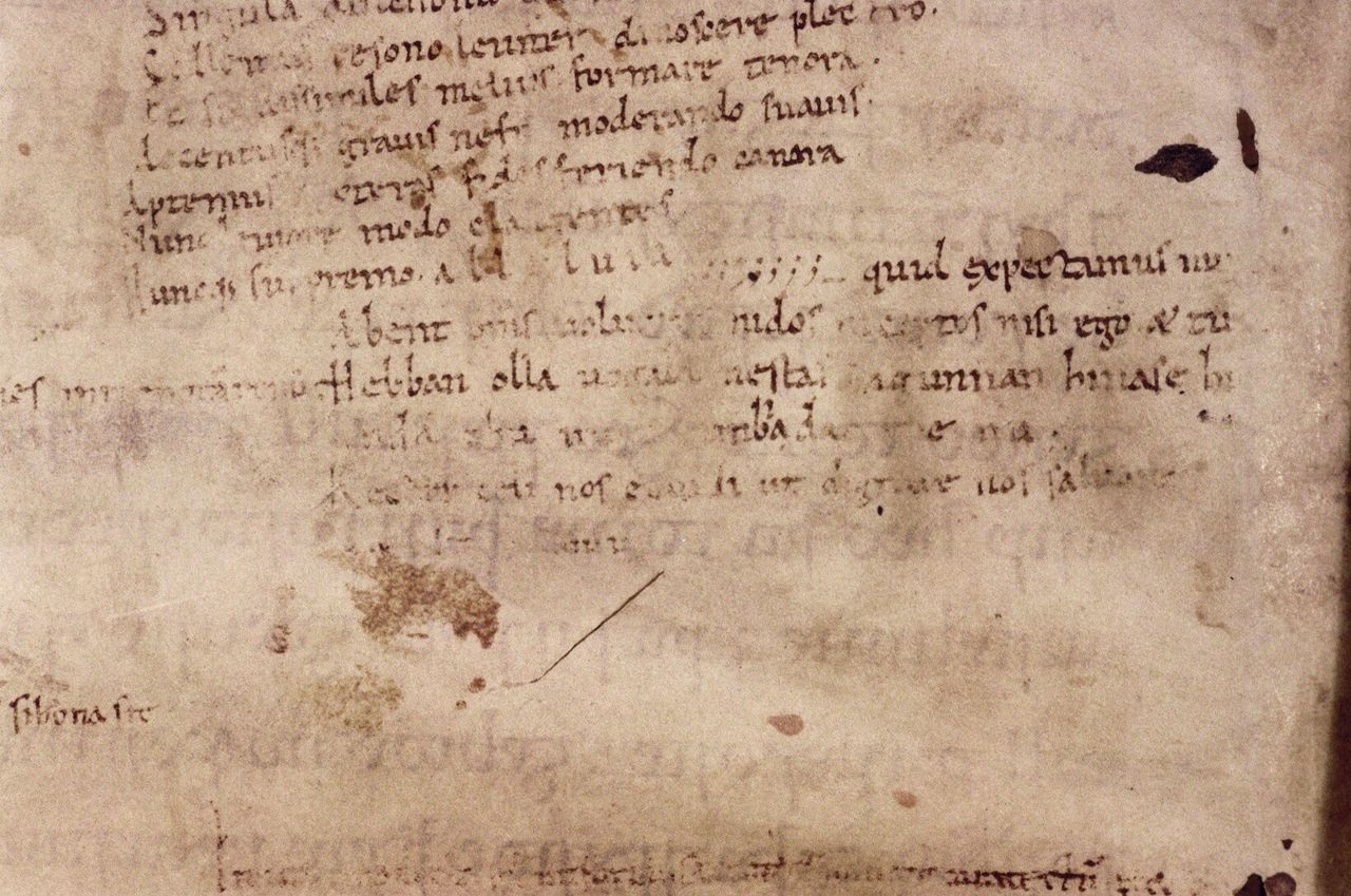 Het 11de-eeuwse tekstje ‘hebban olla vogala’ is een literair spel dat net even anders gespeld is 