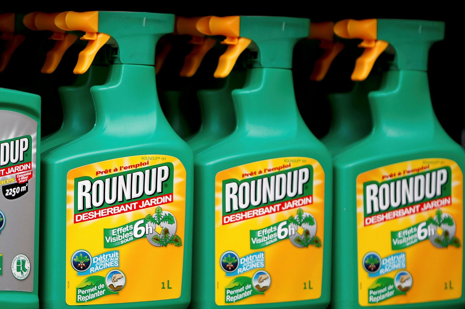 Roundup