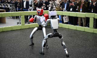 Image for Dit zijn de indrukwekkendste foto’s van deze week