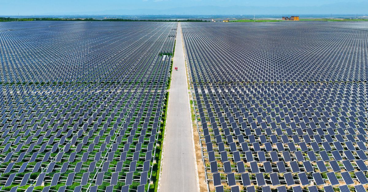 China wil eigen productie zonnepanelen verminderen om ‘bloedbad’ in de branche te beperken