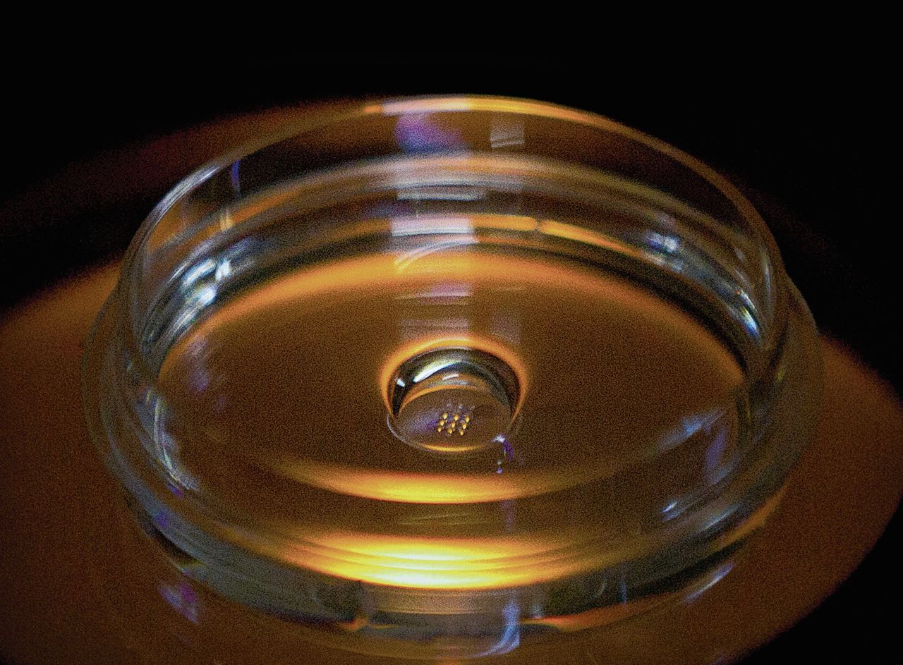 Een crispr-experiment met embryo’s in een Chinees laboratorium.