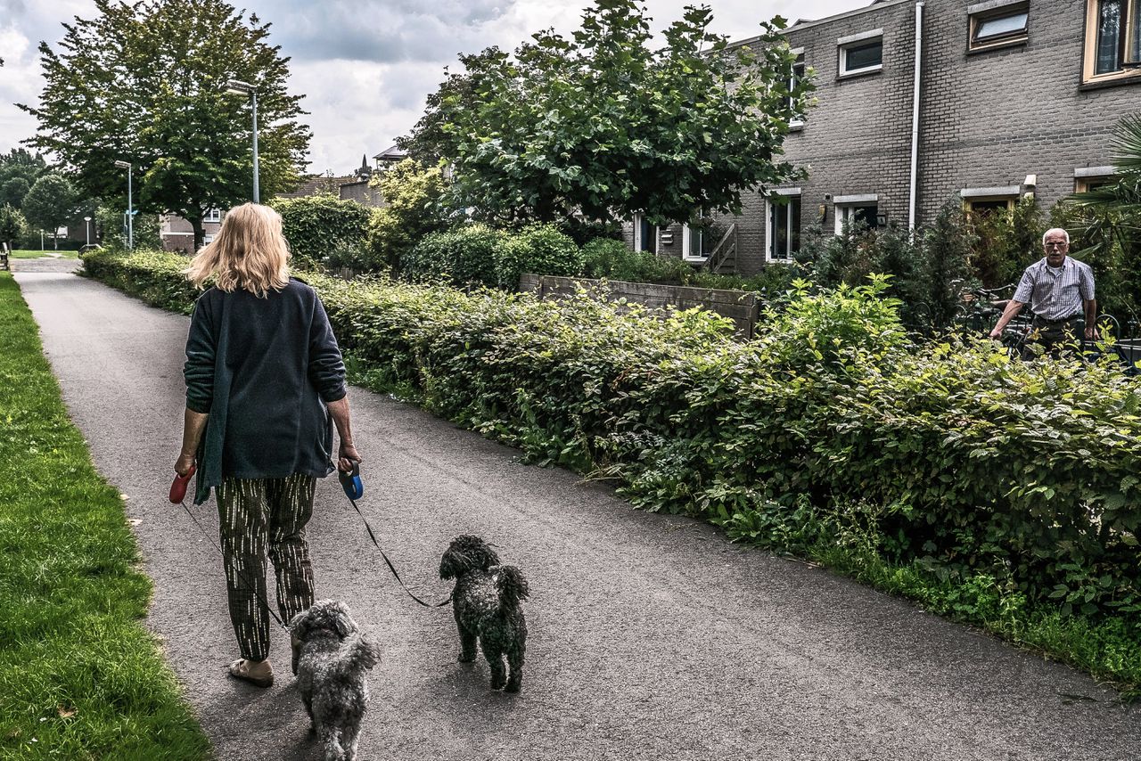 De Kruidenwijk is een van de ‘oudere’ buurten van Almere. De meeste woningen daar zijn in de jaren tachtig gebouwd. Er wonen ongeveer achtduizend mensen.