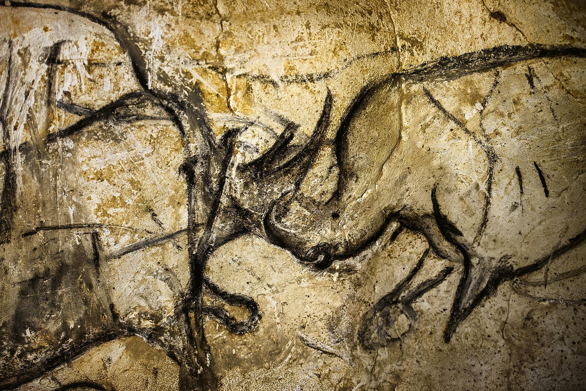 Палеолит. Пещера Шове Наскальная живопись. Пещера Шове Франция наскальные рисунки. Пещера Шове тарпаны. Палеолитическое искусство пещера Шове.