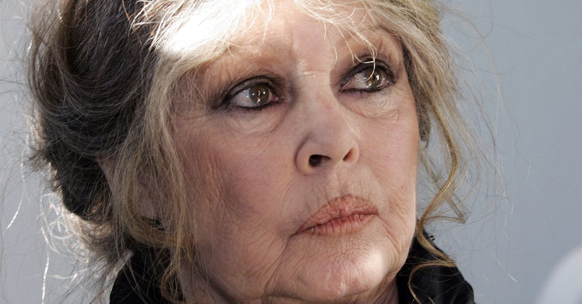 Brigitte Bardot (90) voert haar ‘laatste gevecht’: tegen de slipjacht met honden