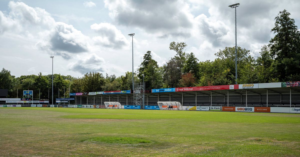 Voetbalclubs in Delfland vrezen voor hun velden vanwege sproeiverbod: ‘Er groeit niks zonder water’