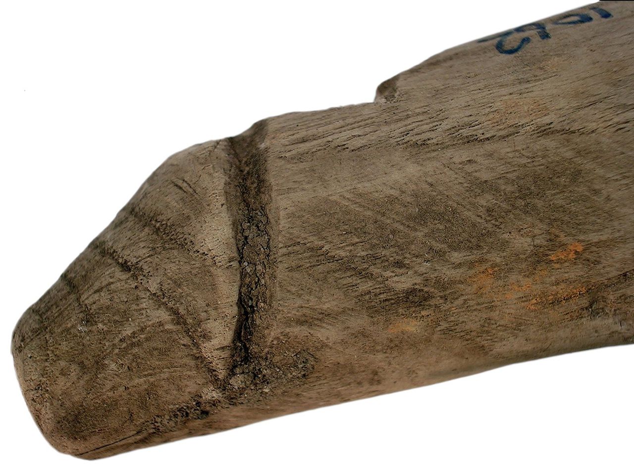 Archeologen vinden een Romeinse houten penis ‘met gebruikssporen’ 