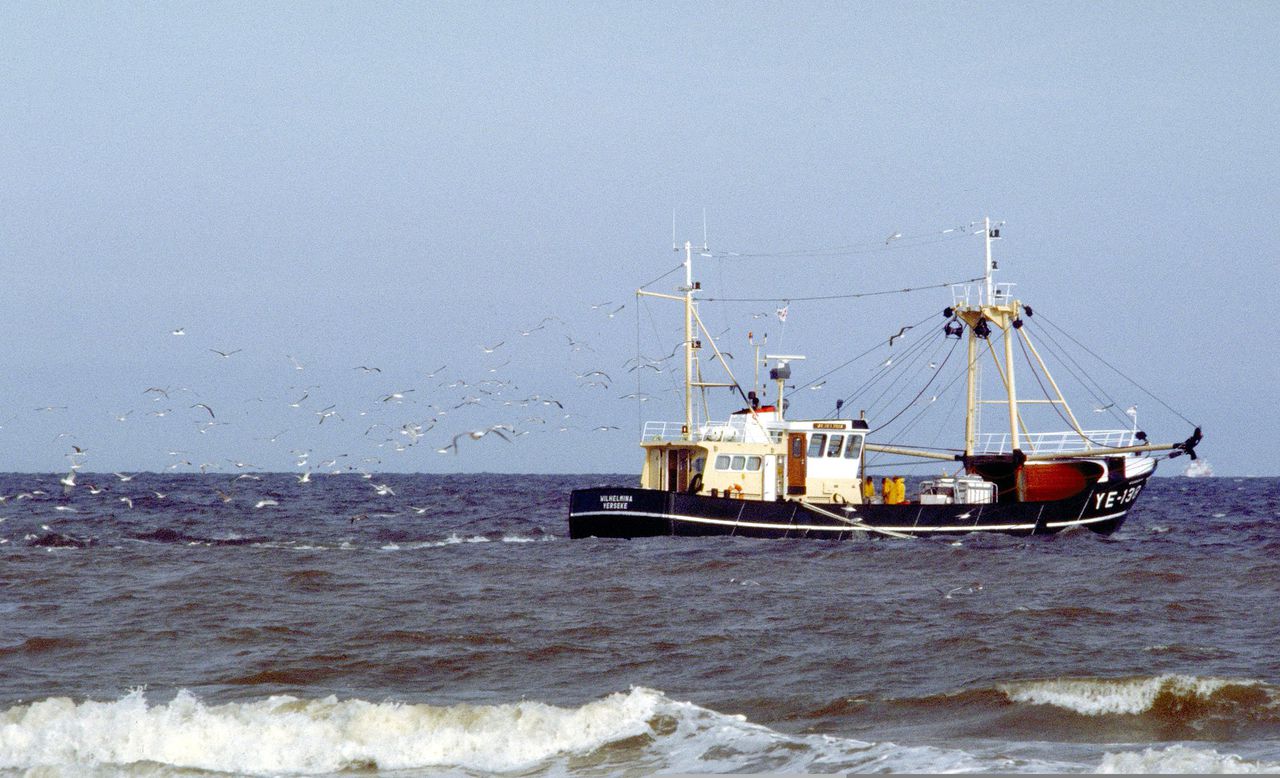 NRC checkt: Er zat  sinds 1957  nog nooit zo veel vis in de Noordzee 