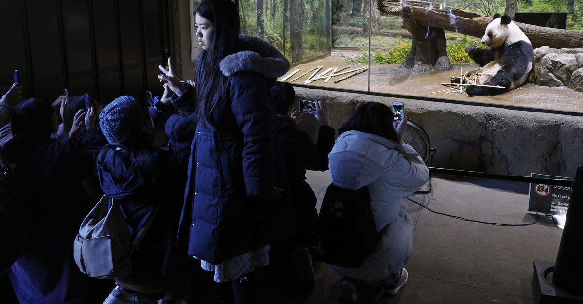 Japan bereidt zich al jaren voor op Chinese exportmaatregelen, maar toch kunnen die pijn doen