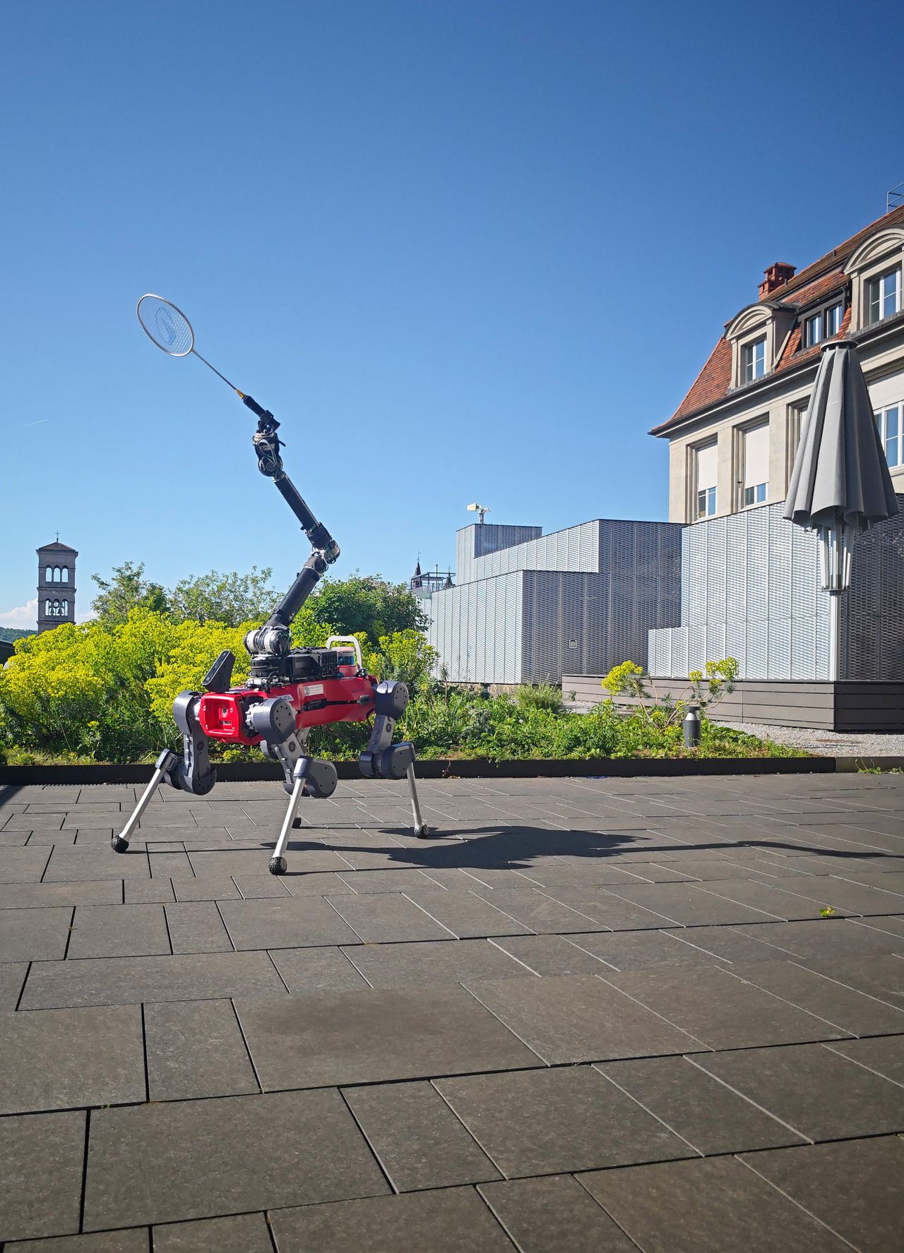 This robot looks a bit like a dog and can be badminton