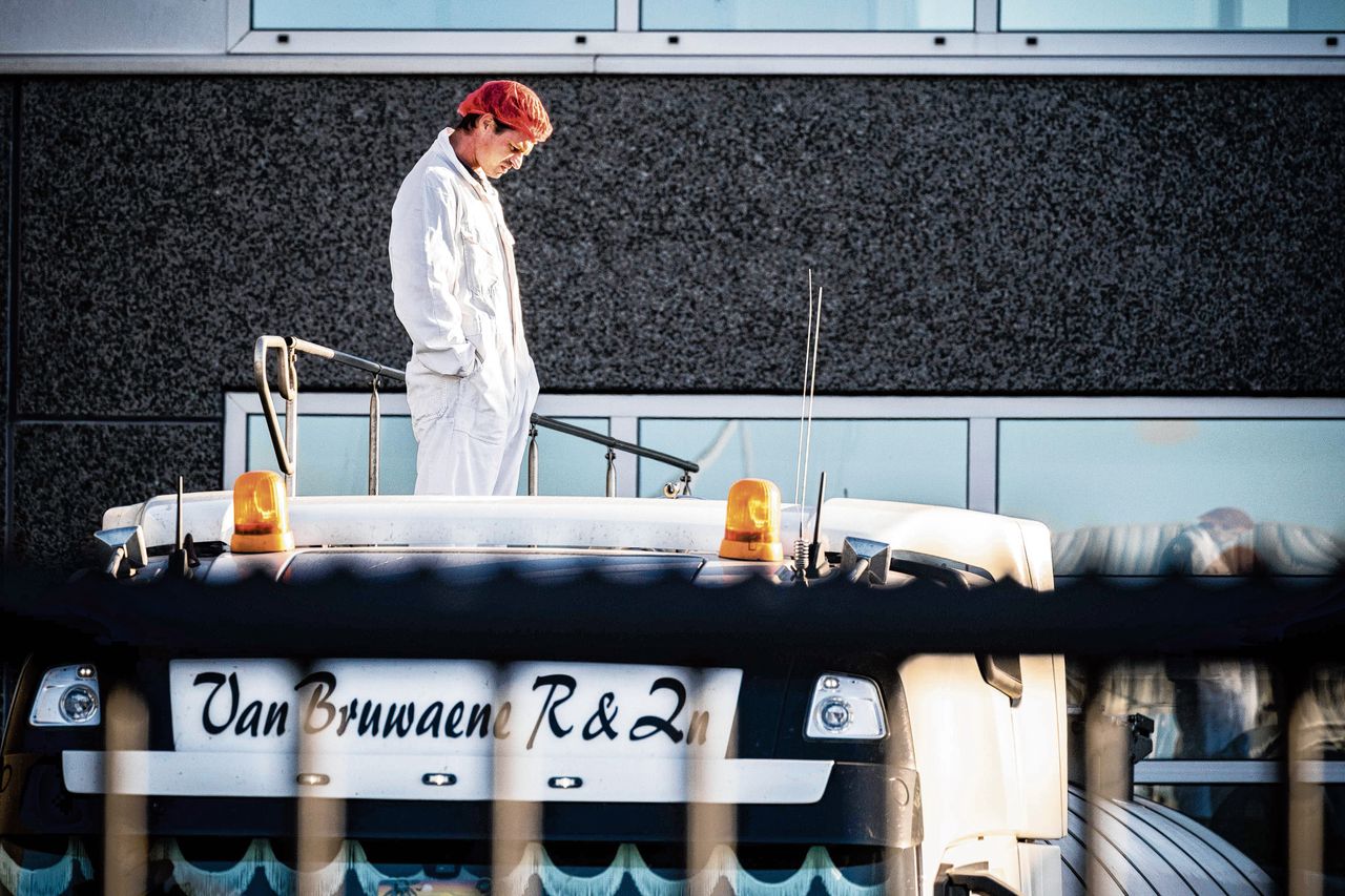 ‘Als het om arbeidsmigranten gaat hebben we boter op ons hoofd’ - NRC