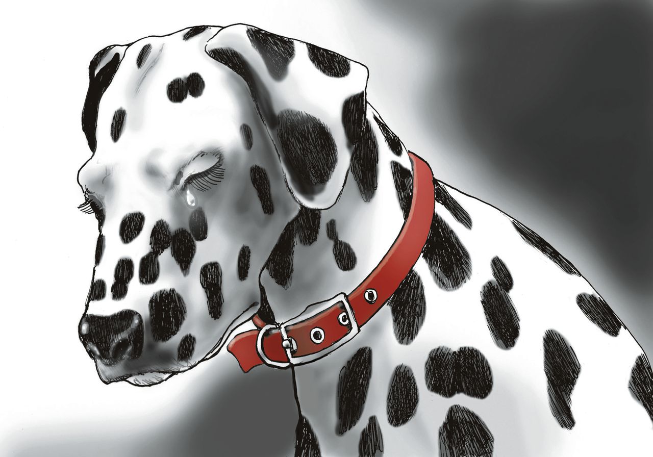 Aan Youp van 't Hek:Jij vangt meer voor je column dan ik voor die