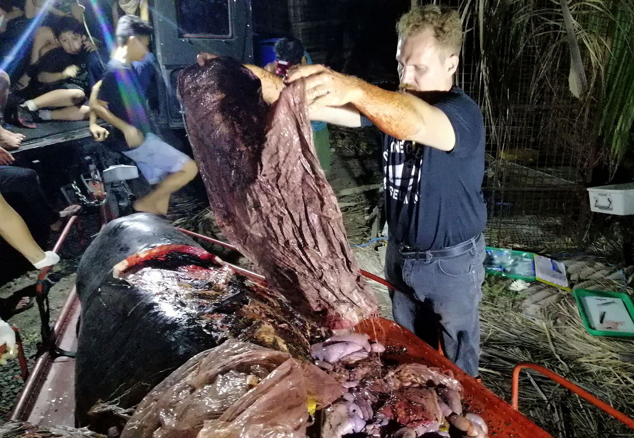 De directeur van het D' Bone Collector Museum in Mabini laat stukken plastic afval zien die in de maag van de walvis zijn gevonden.