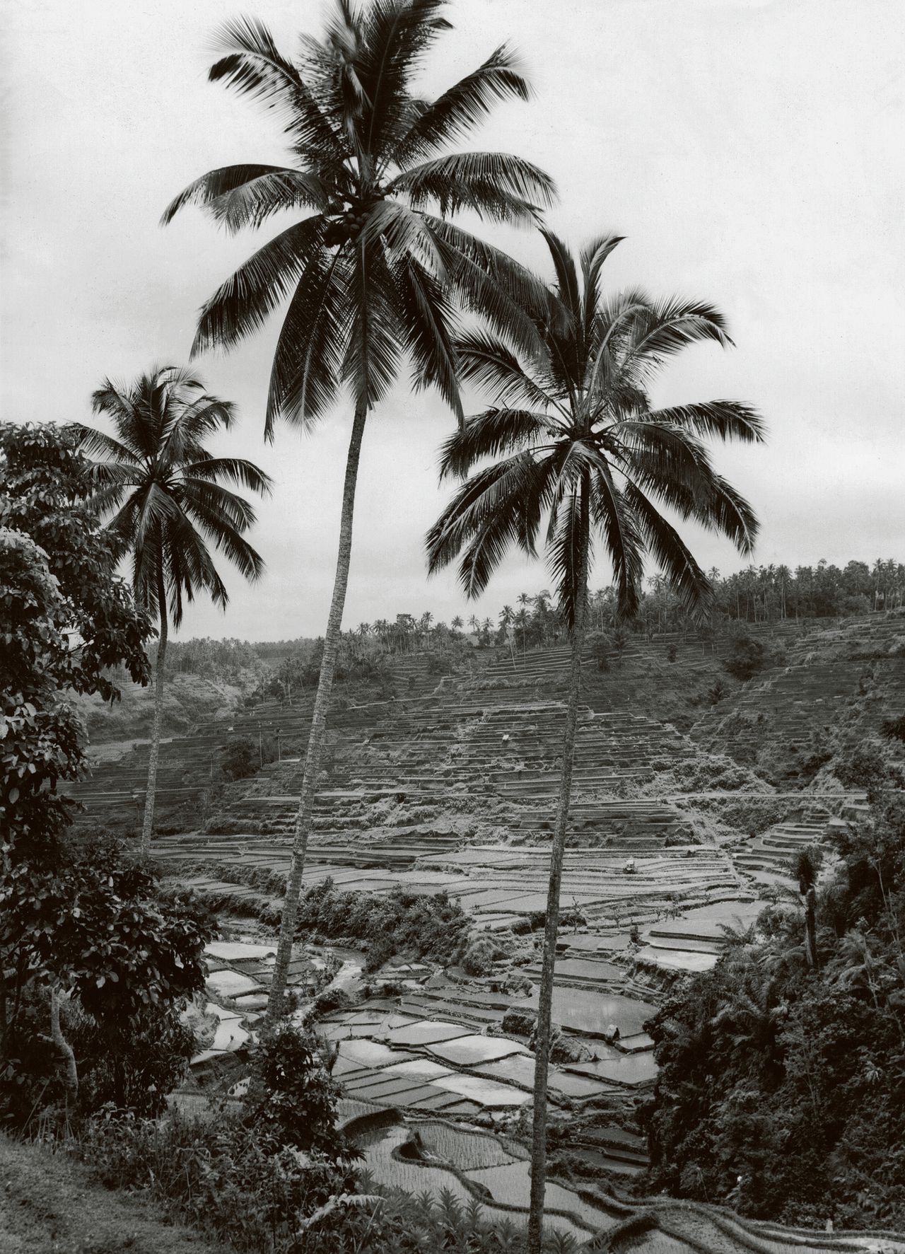 Boven: Sawa’s – natte rijstvelden – op Bali in 1947. Rechts: Nederlandse soldaten van het Regiment Stoottroepen in Denpasar op Bali.