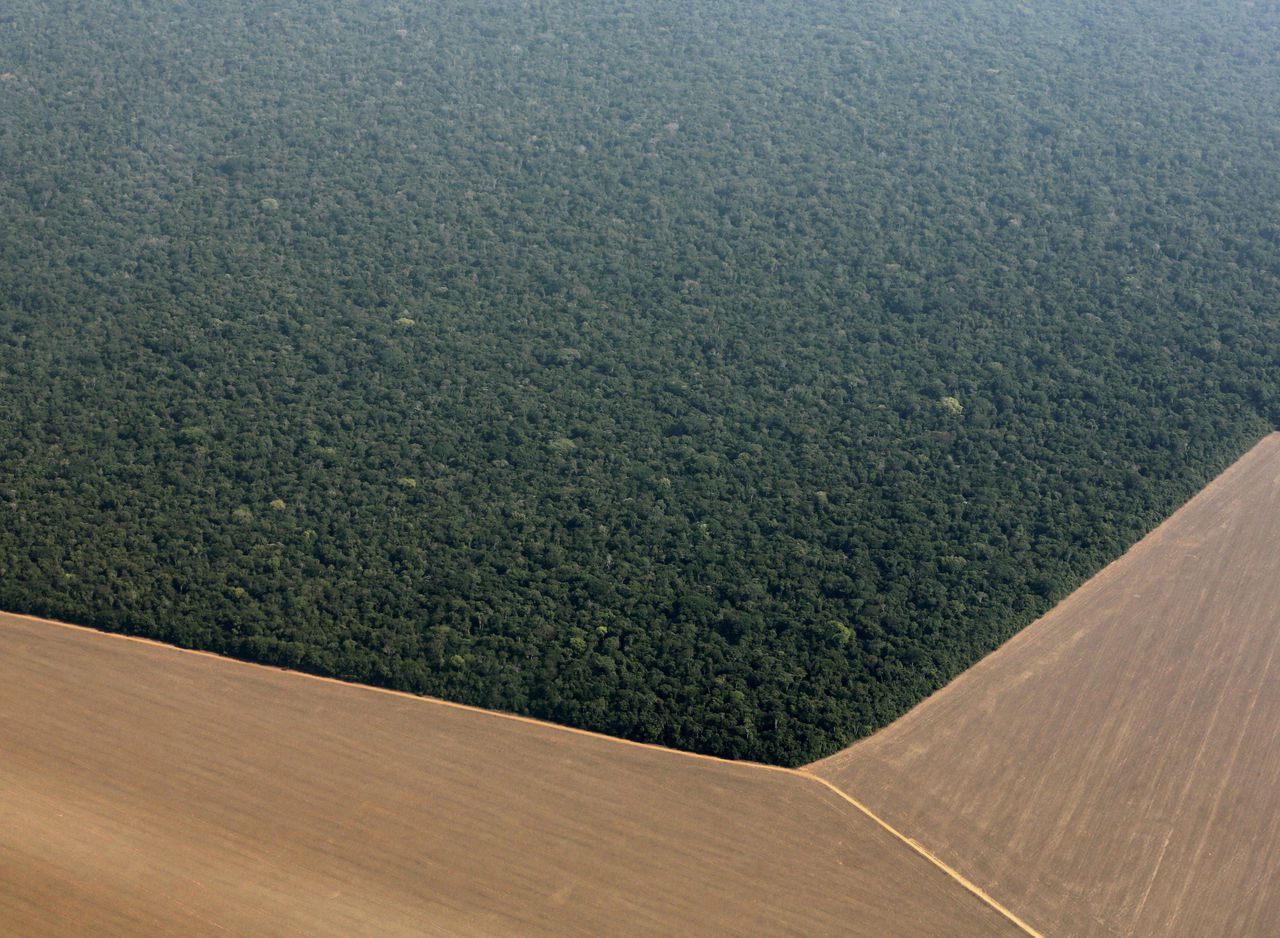 Een harde scheidslijn tussen gekapt en ongekapt regenwoud in de Braziliaanse deelstaat Mato Grosso. De akkers zijn bedoeld voor de teelt van sojabonen.
