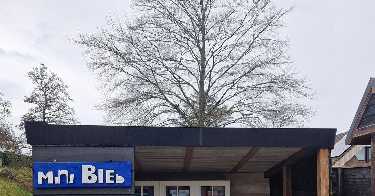 Verhalen over vakantievierende boomers, uit de minibieb in Kortgene