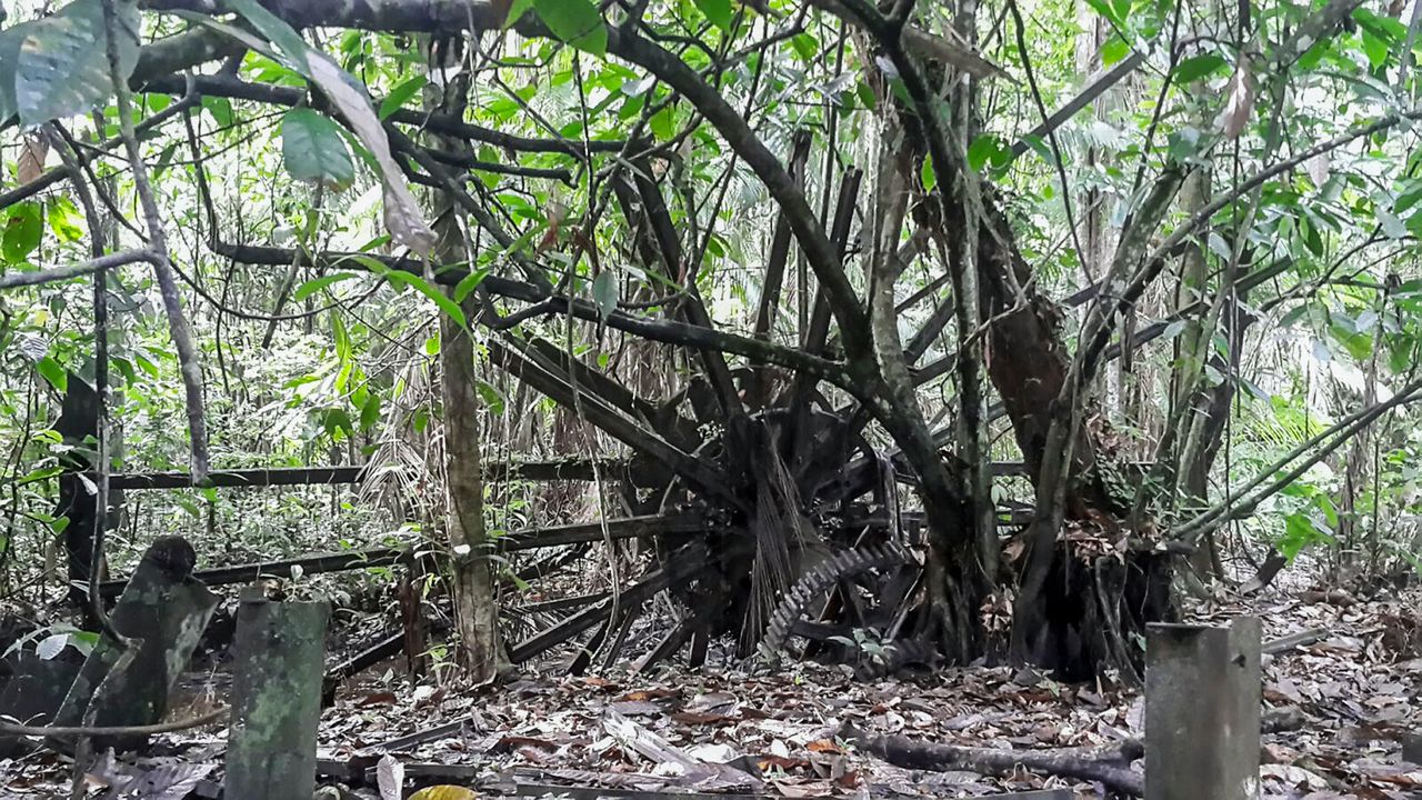 Een oud gietijzeren waterrad in de jungle van Suriname.