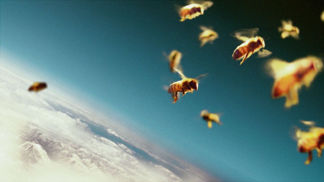 De bij, een poedel met vleugels NRC