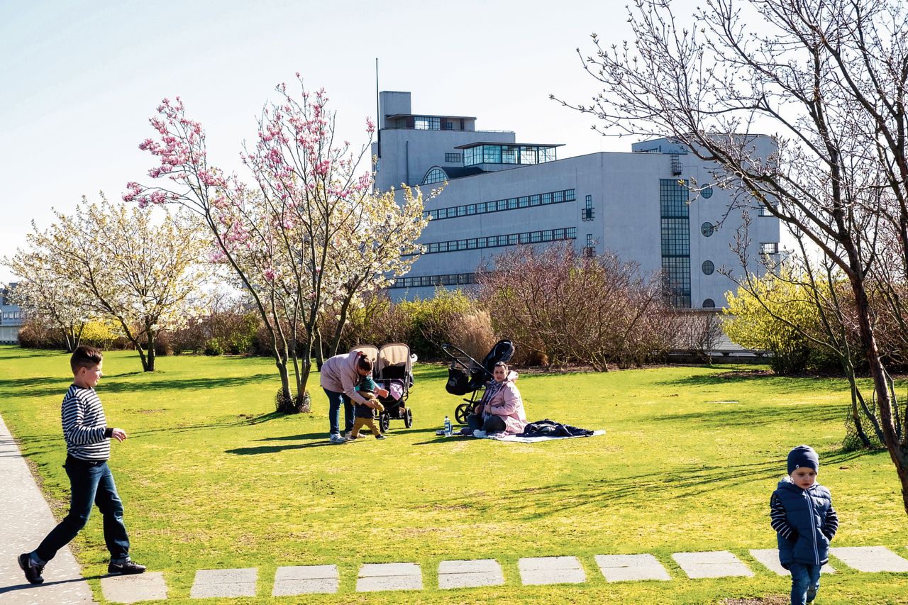 Er is buiten het Dakpark weinig groen in Bospolder Tussendijken.