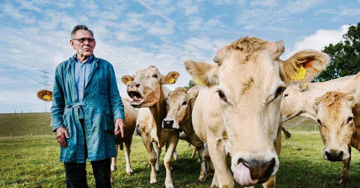 En toch moet de boer wijken voor de geul - NRC
