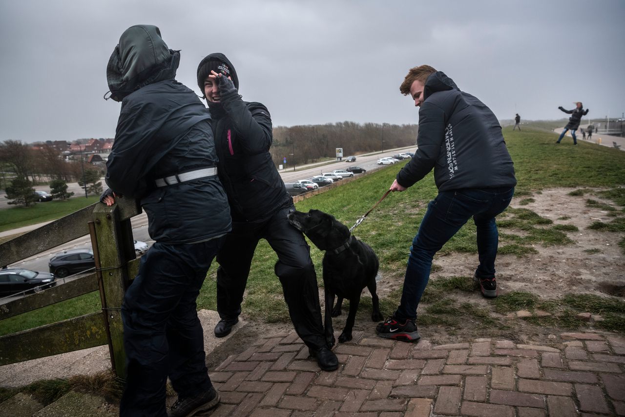 Storm Eunice in Nederland: dit zijn de indrukwekkendste foto's 