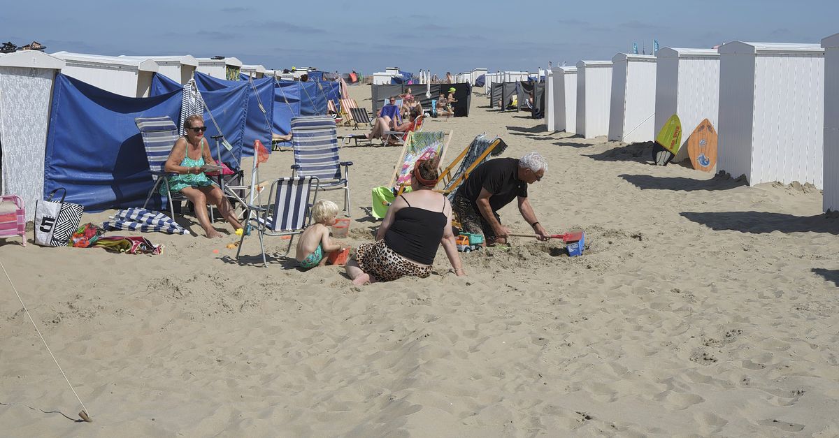 Twee vierkante meter zomer - NRC