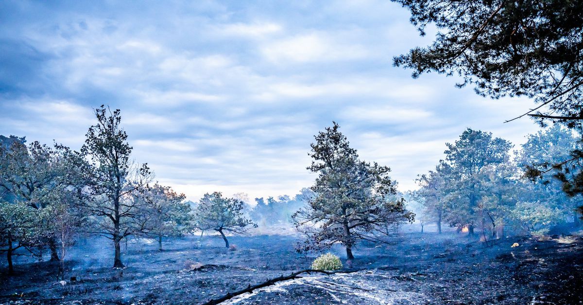 Brandweer geeft sein brand meester bij Venray, noodverordening nog van kracht, Chinooks kunnen aan de grond blijven