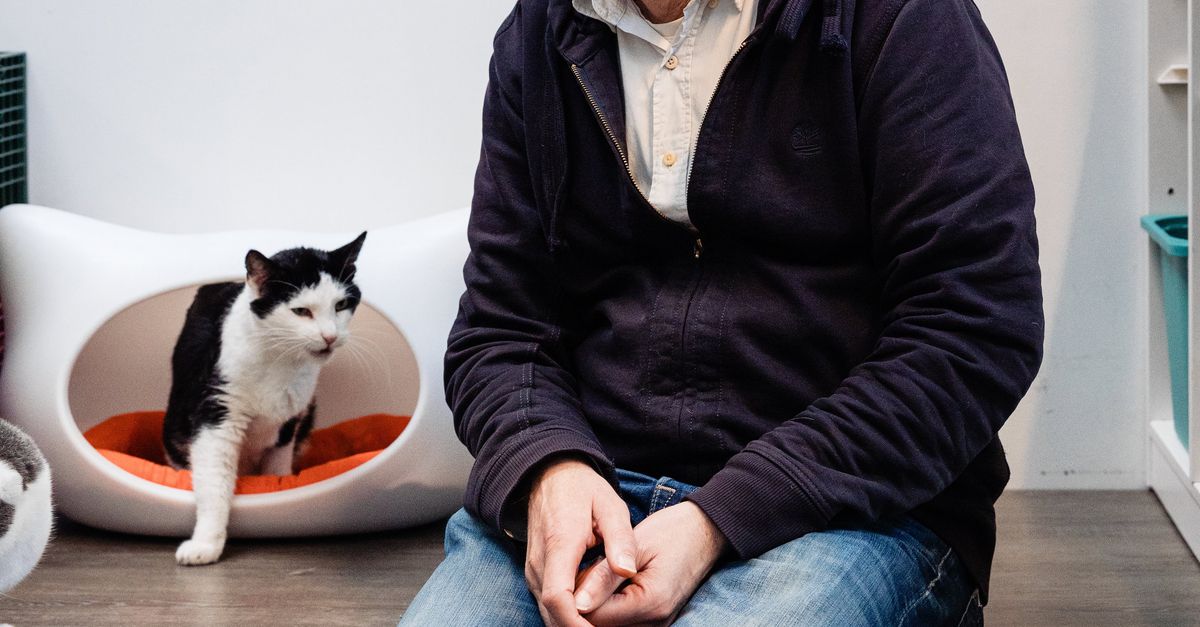 Hoe een kattenliefhebber ontdekte dat de relatie mens-dier een serieus vakgebied is