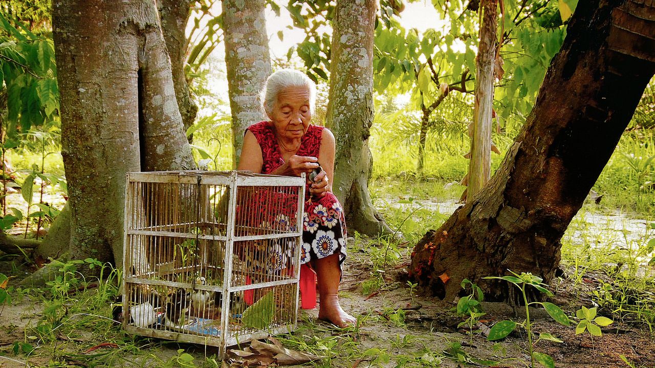 De hoogbejaarde moeder van Adi, die de zwijgcultuur van Indonesië doorbreekt in The Look of Silence.