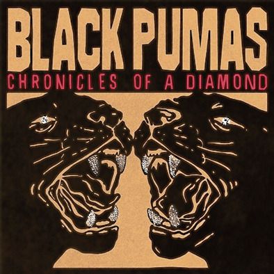 Brown and black pumas new arrivals