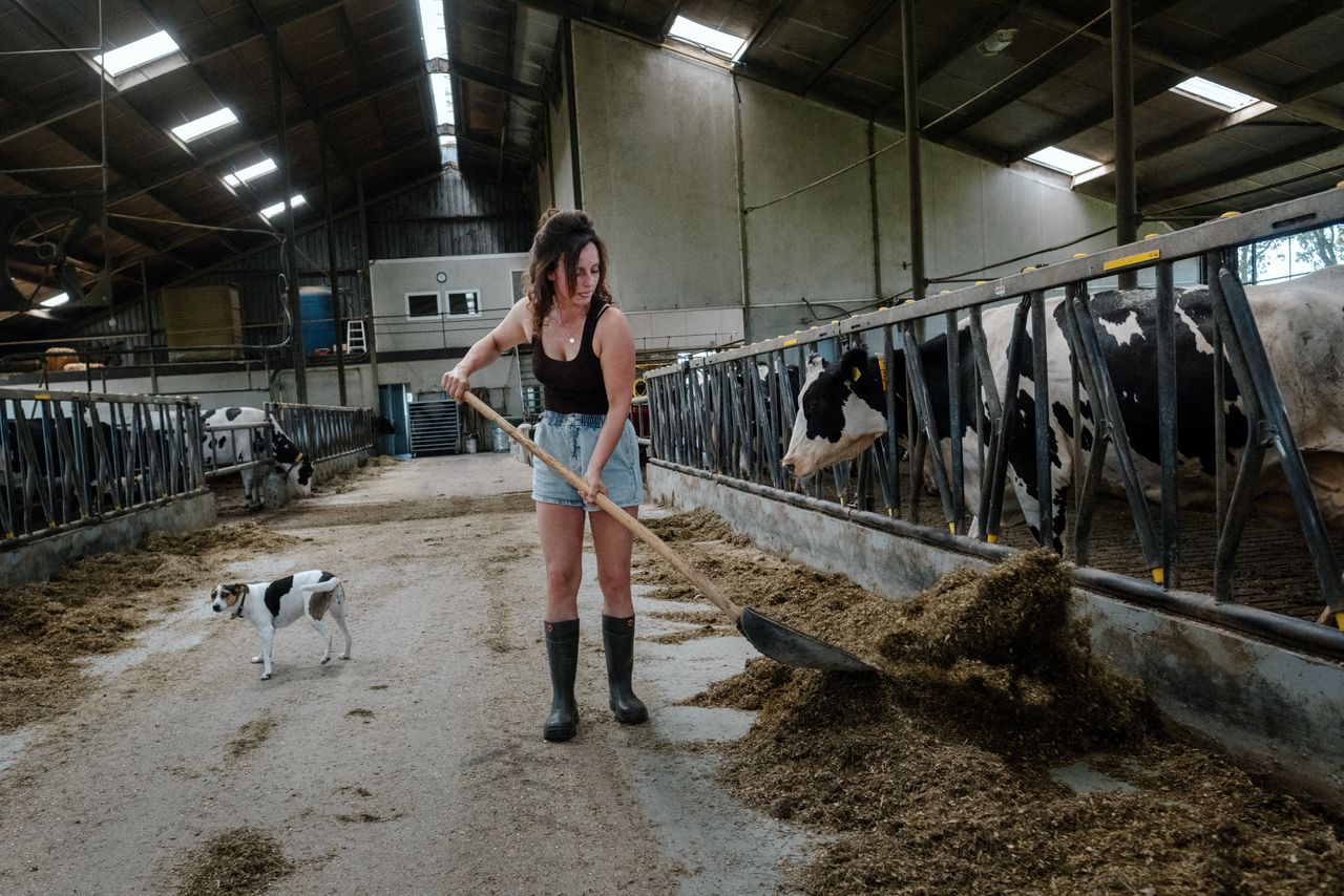 In the Peel, nature is struggling and farmers already mourn their land. What will the nitrogen package mean?