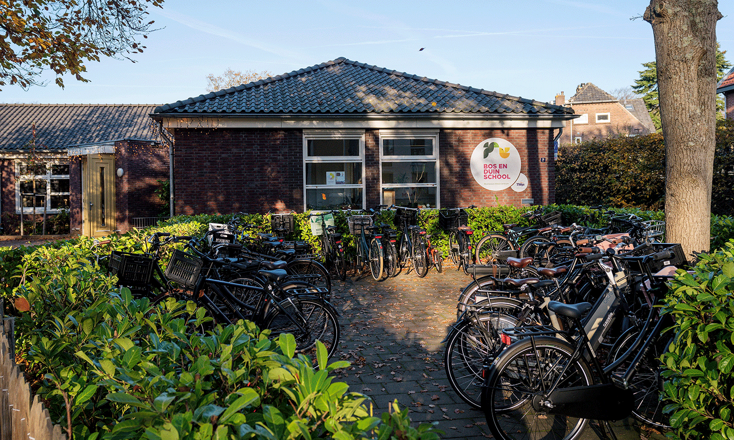 Accused blames authorities and AfD