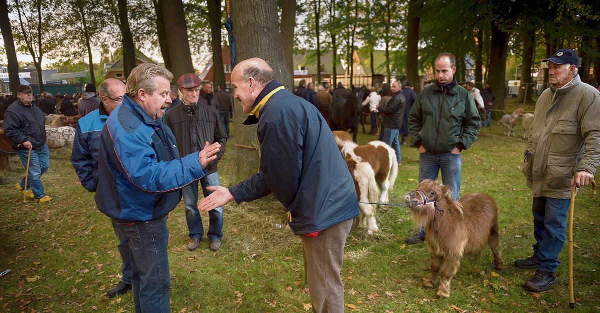 Geen Hond Wil Nog Een Paard Nrc