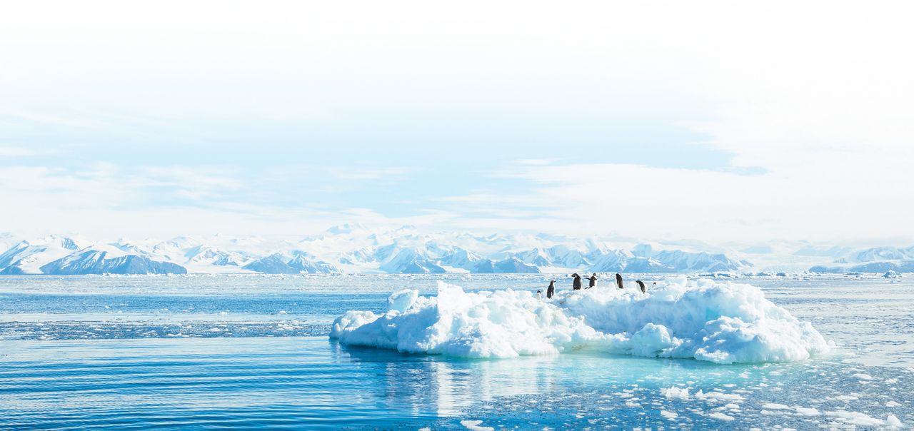 In opera ‘Antarctica’ borrelt het ijswater en zingt het planktonkoor 