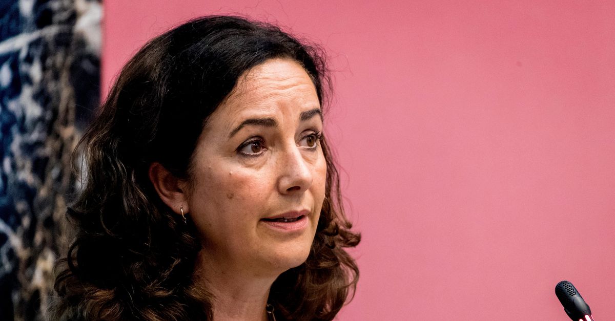 Zoon Femke Halsema Niet Vervolgd Voor Wapenbezit Nrc