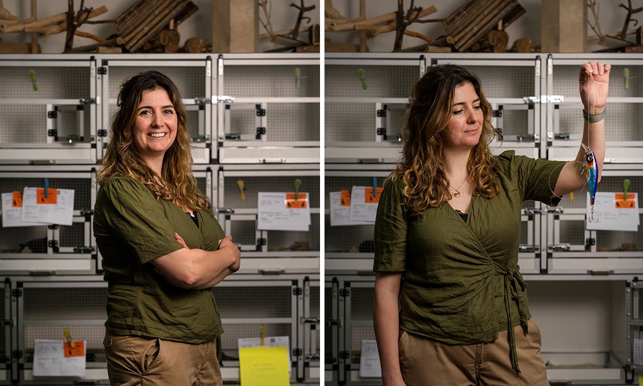 Volunteers are the extra eyes and hands for science