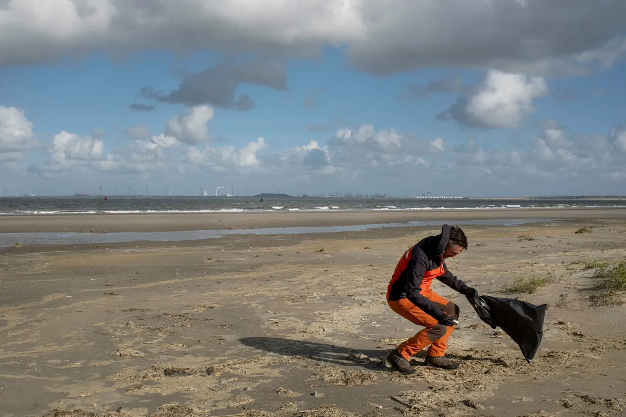 Hoe een plastic bekertje uit Canada op het strand van Goeree ...