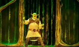 René van Kooten as Shrek in 'Shrek de Musical'.