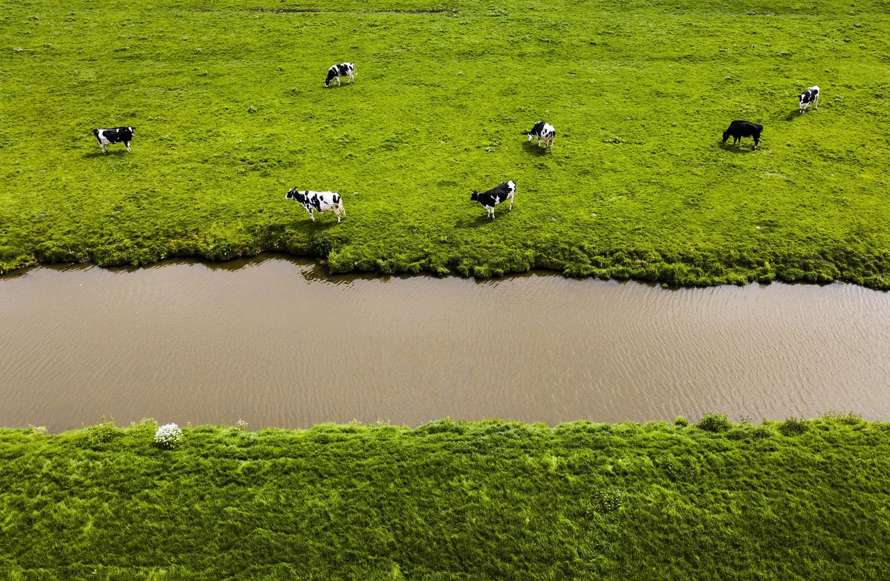 Een derde van subsidieregelingen voor de landbouw kan biodiversiteit schaden 