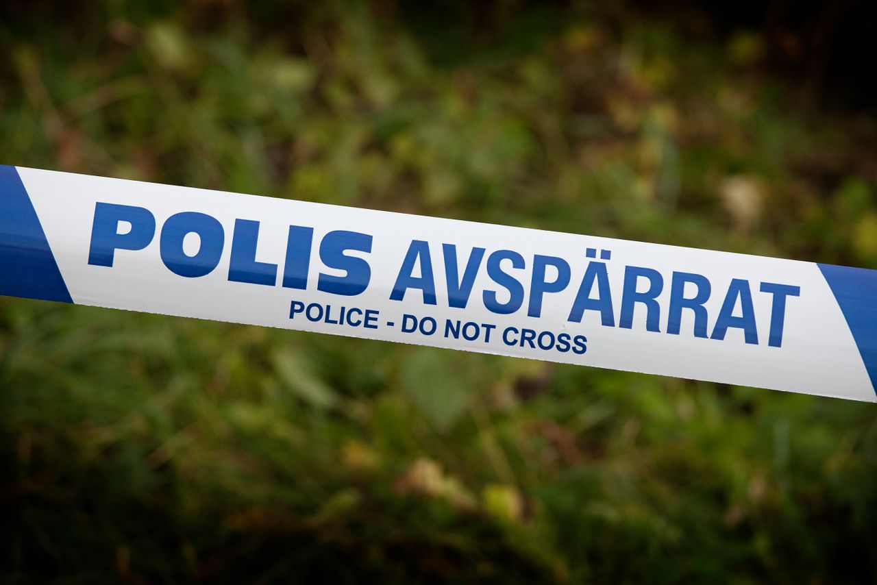 Volgens de Zweedse autoriteiten zaten in het neergestorte vliegtuig negen mensen.
