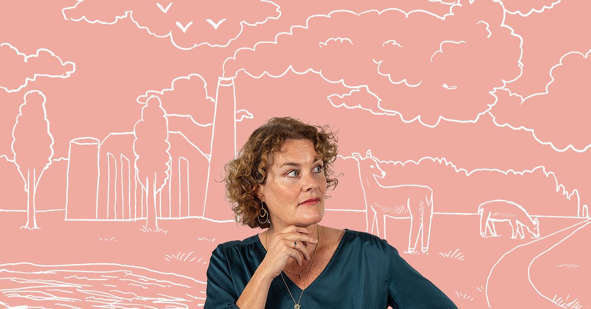 Klimaattoppen zijn zinloos? Zo simpel is het niet - NRC