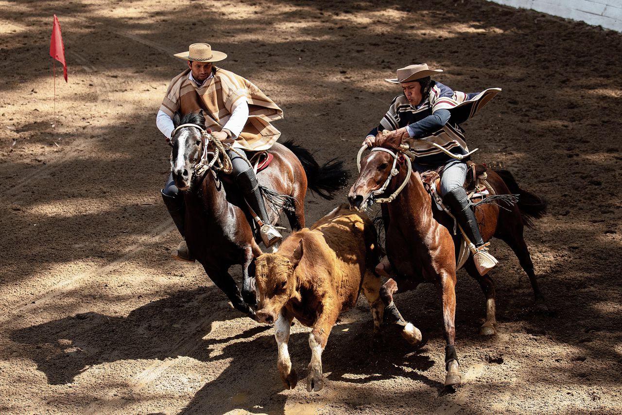Klassificatiewedstrijden rodeo in Pemuca, een dorpje in het zuiden van Chili.